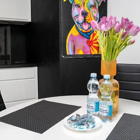 Apartament Apartament Sikorskiego Olsztyn - Najlepszy Widok - Klimatyzacja